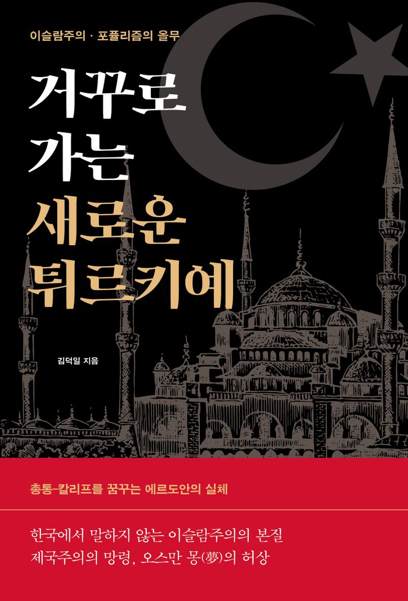 거꾸로 가는 새로운 튀르키예 : 이슬람주의·포퓰리즘의 올무 / 김덕일 지음