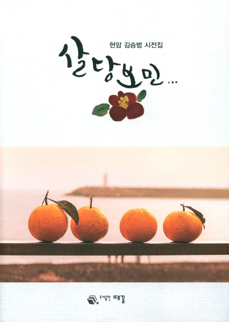 표지이미지