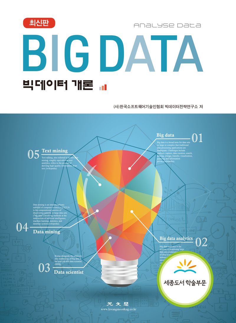 빅데이터 개론 = Big data : analyse data / 한국소프트웨어기술인협회 빅데이터전략연구소 저