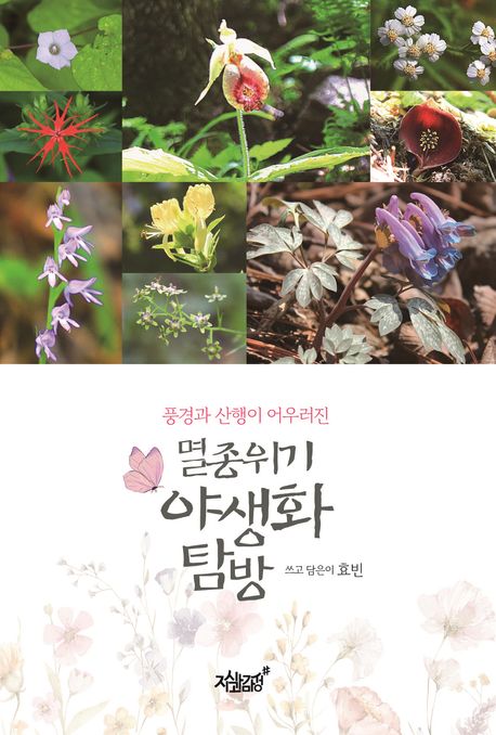 표지이미지