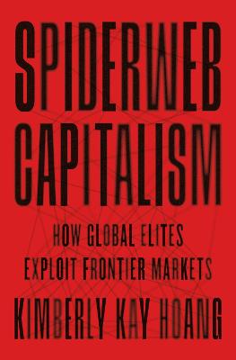 Spiderweb capitalism : how global elites exploit frontier markets / Kimberly Kay Hoang.