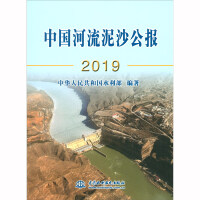 中国河流泥沙公报. 2019 / 中华人民共和国水利部 编著