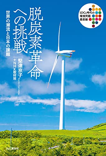 脱炭素革命への挑戦 : 世界の潮流と日本の課題 / 堅達京子, NHK取材班 著