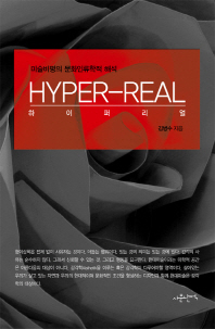 하이퍼리얼 = Hyper-real : 미술비평의 문화인류학적 해석 / 김병수 지음