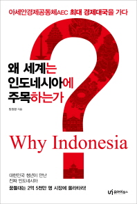 왜 세계는 인도네시아에 주목하는가 = Why Indonesia? / 방정환 지음