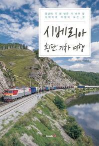 시베리아 횡단 기차 여행 : 평생에 꼭 한 번은 가 봐야 할 시베리아 여행의 모든 것 / 글⁄사진: 태원용
