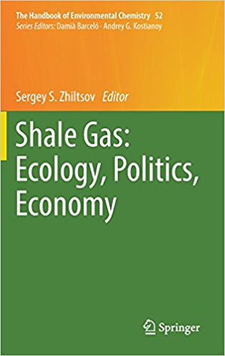 Shale gas : ecology, politics, economy / Sergey S. Zhiltsov, editor.