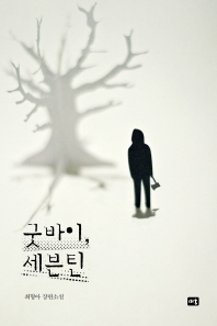 굿바이, 세븐틴 : 최형아 장편소설 / 지은이: 최형아