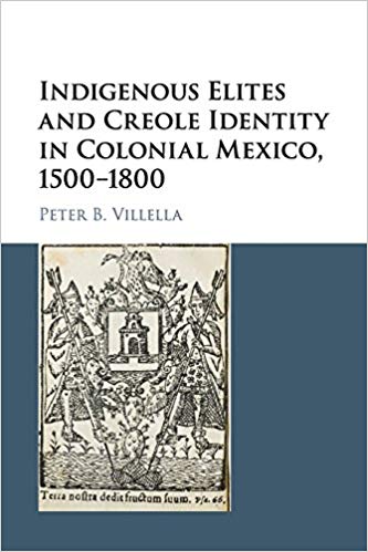 Indigenous elites and Creole identity in colonial Mexico, 1500-1800 / Peter B. Villella.