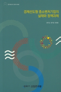경제선도형 중소벤처기업의 실태와 정책과제 / 저자: 홍지승, 홍석일, 한창용