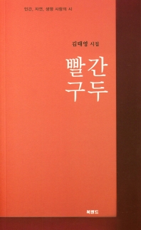 빨간 구두 : 김태영 두 번째 시집 / 글쓴이: 김태영