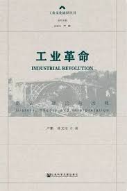 工业革命 : 历史, 理论与诠释 = Industrial revolution : history, theory and interpretation / 严鹏, 陈文佳 著