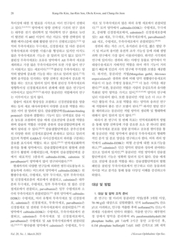 미리보기 이미지 2번째