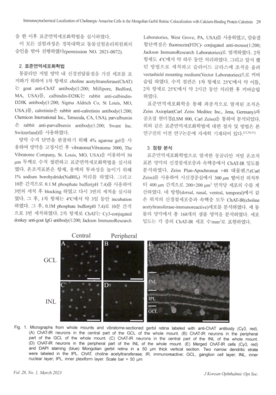 미리보기 이미지 3번째