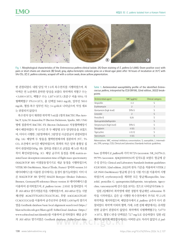 미리보기 이미지 2번째