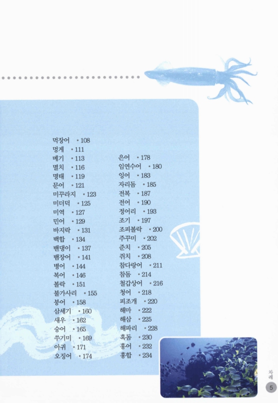 미리보기 이미지 5번째