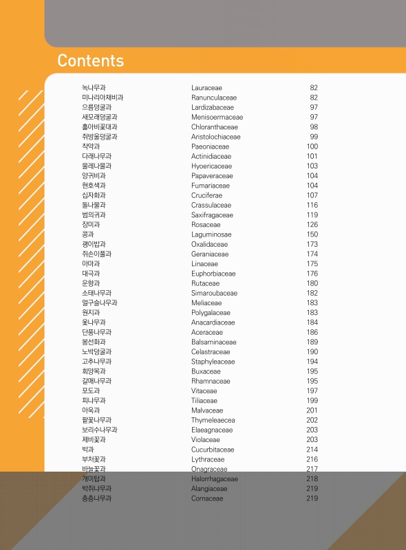 미리보기 이미지 4번째