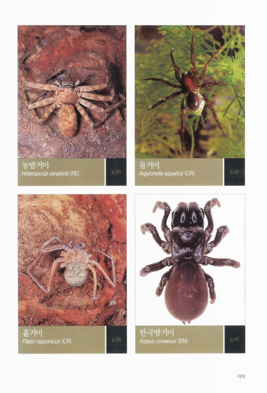 미리보기 이미지 3번째