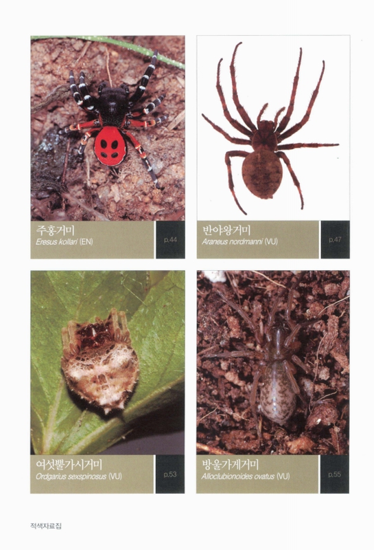 미리보기 이미지 4번째