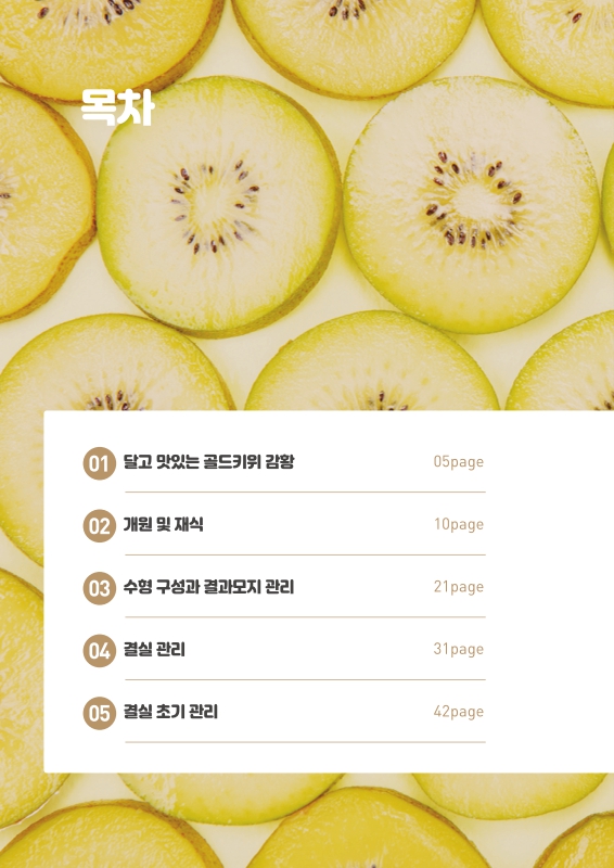 미리보기 이미지 3번째