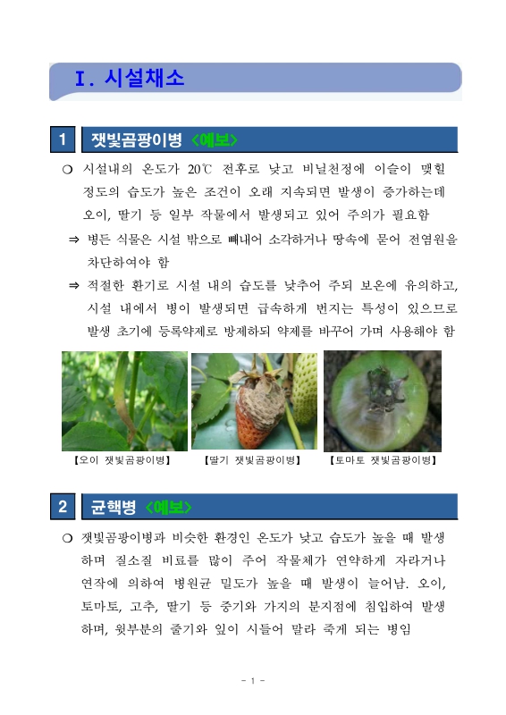 미리보기 이미지 2번째