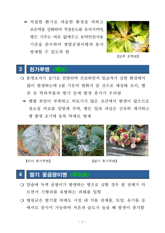 미리보기 이미지 3번째