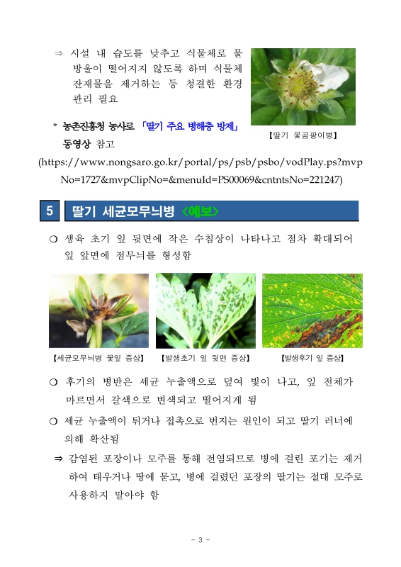 미리보기 이미지 4번째