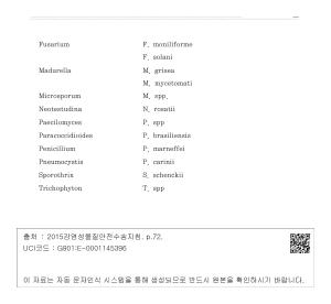 표그림 DB 썸네일 이미지