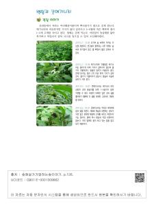 표그림 DB 썸네일 이미지