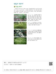 표그림 DB 썸네일 이미지