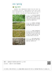 표그림 DB 썸네일 이미지