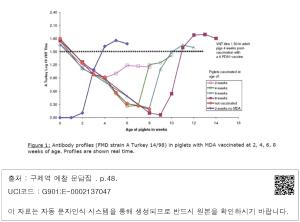 표그림 DB 썸네일 이미지