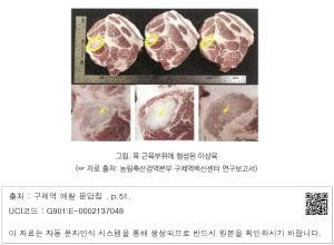 표그림 DB 썸네일 이미지