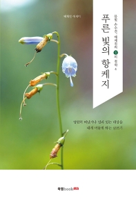 푸른 빛의 항케지 : 배채진 에세이