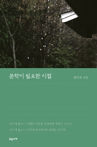 문학이 필요한 시절 : 황규관 산문