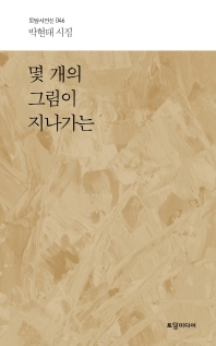 몇 개의 그림이 지나가는 : 박현태 시집