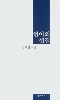 언어의 껍질 : 정재영 시집