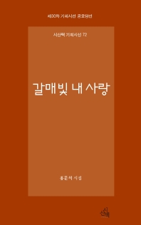 갈매빛 내 사랑 : 홍문식 시집