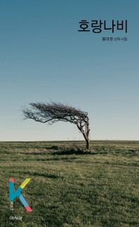 호랑나비 : 황규관 신작 시집