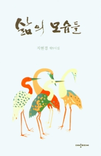 삶의 모습들 : 지현경 제9시집