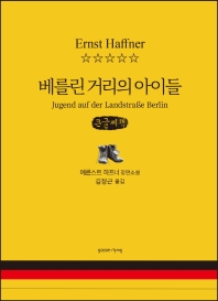 베를린 거리의 아이들 : 에른스트 하프너 장편소설 : 큰글자책
