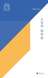 소년의 휘파람 : 박미정 시집