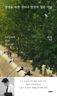 당신을 위한 것이나 당신의 것은 아닌 : 서울과 파리를 걸으며 생각한 것들 : 정지돈 산문