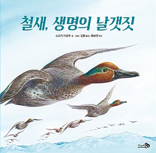 철새, 생명의 날갯짓 