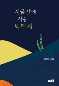 지금산에 사는 벽려씨 : 김정묘 소설집