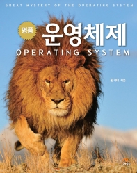 (명품) 운영체제 = Operation system : great mystery of the operating system