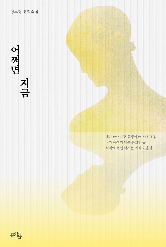 어쩌면 지금 : 성보경 연작소설