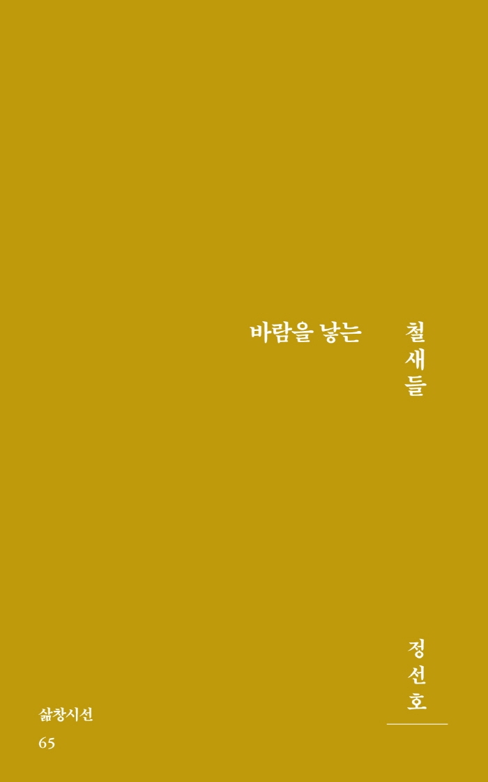 바람을 낳는 철새들 : 정선호 시집