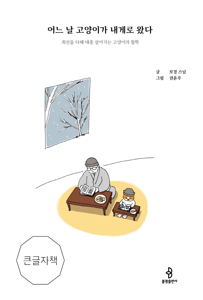 어느 날 고양이가 내게로 왔다 : 최선을 다해 대충 살아가는 고양이의 철학 : 큰글자책