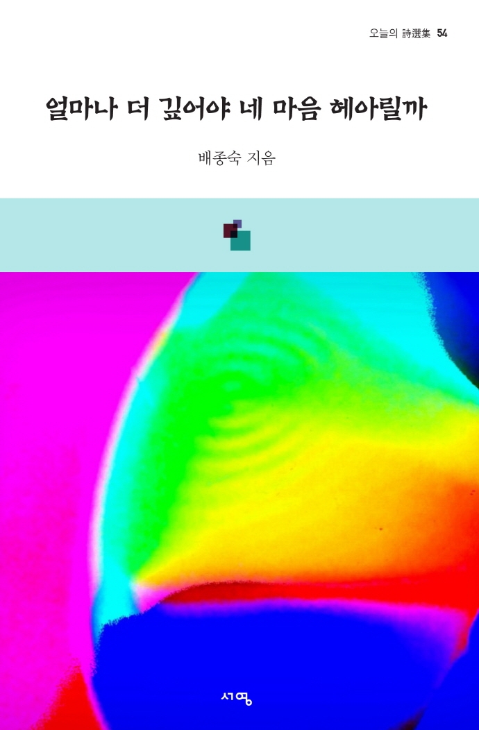 얼마나 더 깊어야 네 마음 헤아릴까 : 배종숙 시조집